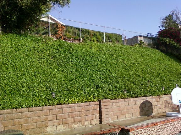 3rd image of 28133 Winterdale Dr