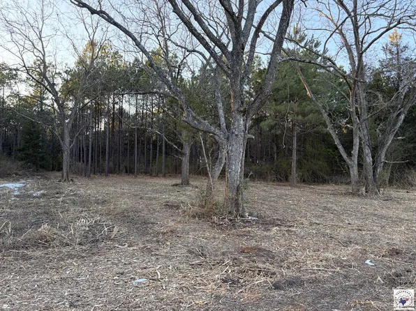 0 Fm 250, Hughes Springs, TX 75656