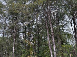 18 Robert Moore Rd, Chunky, MS 39323