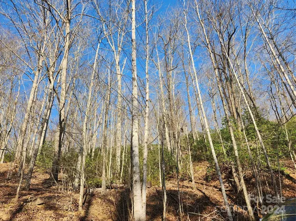 158 Chilly Creek Ln, Lake Lure, NC 28746
