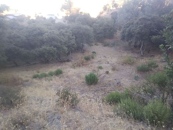 Lot interior