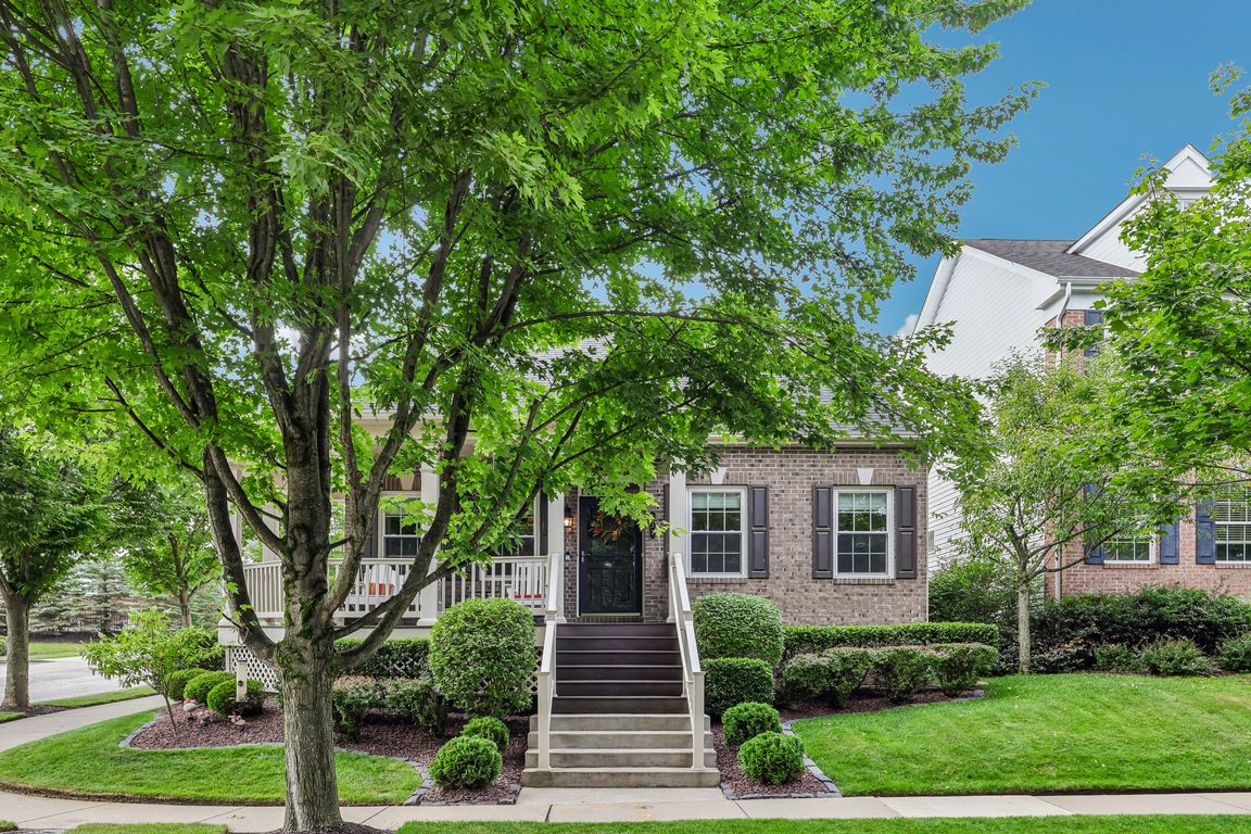 Paddington Ln-S0707-001.jpg