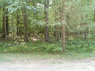 9227 Walnut Grove St, Stanwood, MI