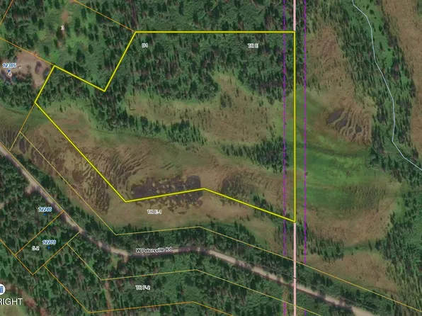 Mile 19 W Petersville Rd, Trapper Creek, AK 99683