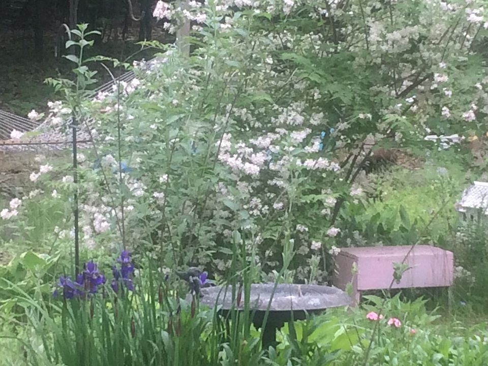 Garden paths