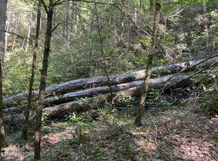 LOT 6 Sycamore St, Sevierville, TN 37876