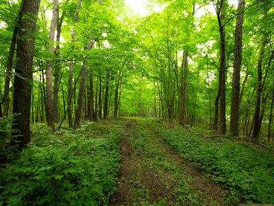 0 W Timber Rd, Mapleton, IL, 61547