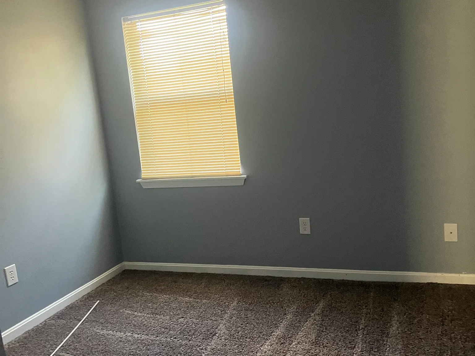 3 bed, 1280 sqft, $1,250 — Photo 3