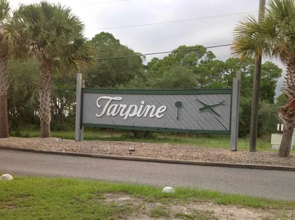 Tarpine Dr, Panacea, FL 32346