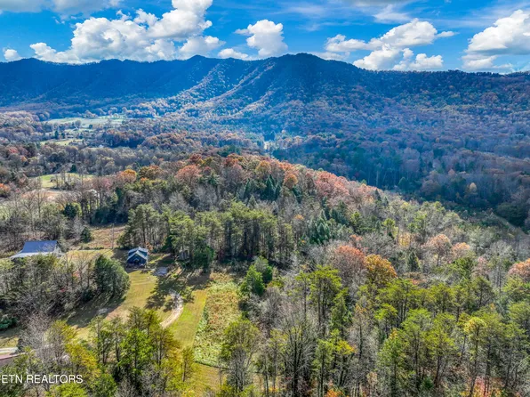 133 Westwing Cave Rd, Townsend, TN 37882