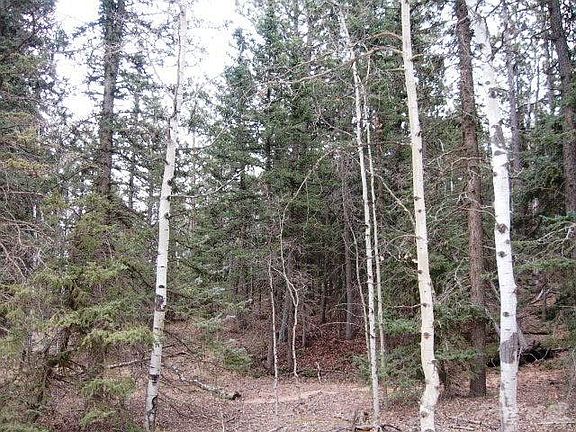 Kutsu Ridge 10.28.15 022