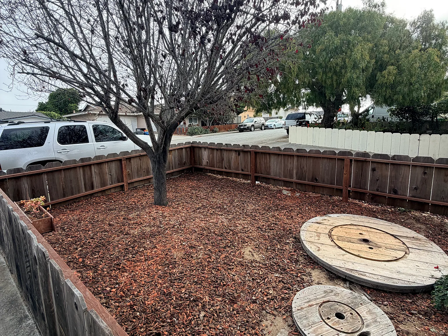 3 bed, 1659 sqft, $4,450 — Photo 3