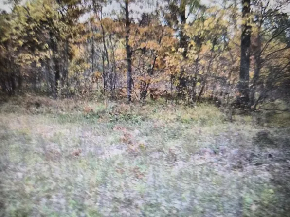 LOT 38 Northwood Dr, Grayling, MI 49738