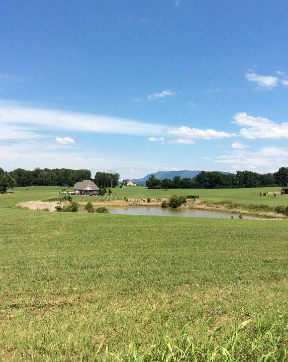 1st image of 774 Majestic Mountains Blvd