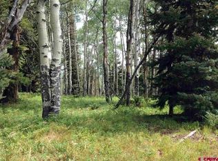 200 Crest Drive, Cimarron, CO 81220