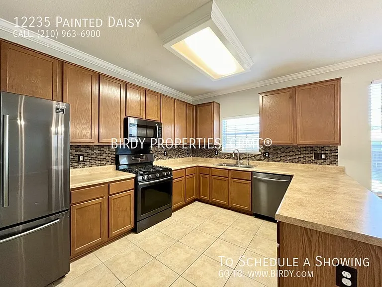 12235 Painted Daisy — Photo 17