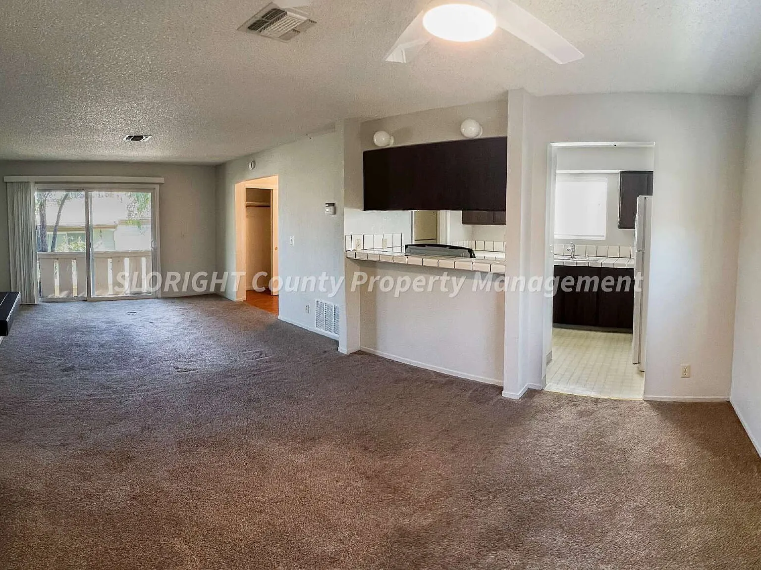 2 bed, 1.0 bath, $1,900 — Photo 3