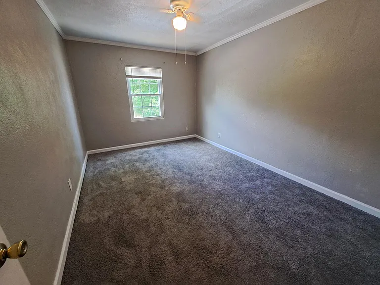 705 Alexander St #1 — Photo 7