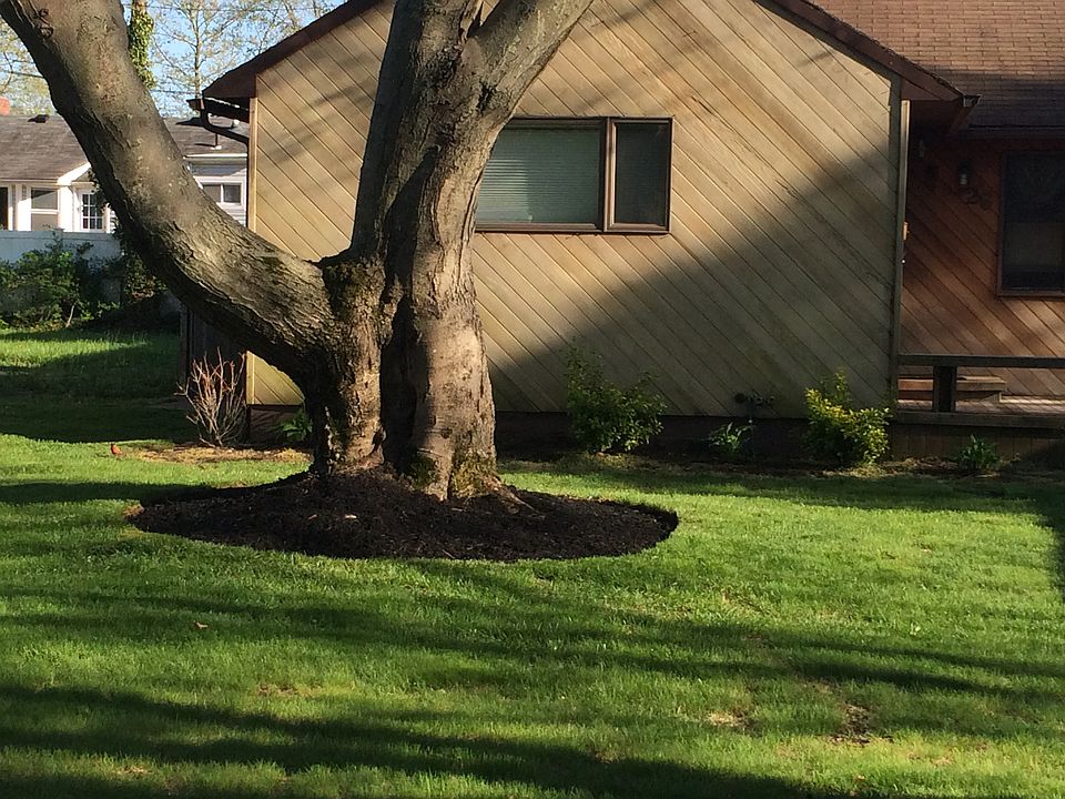 2nd image of 26 Birch St