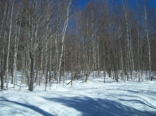 Pug Lakes Rd, Springfield, ME 04487