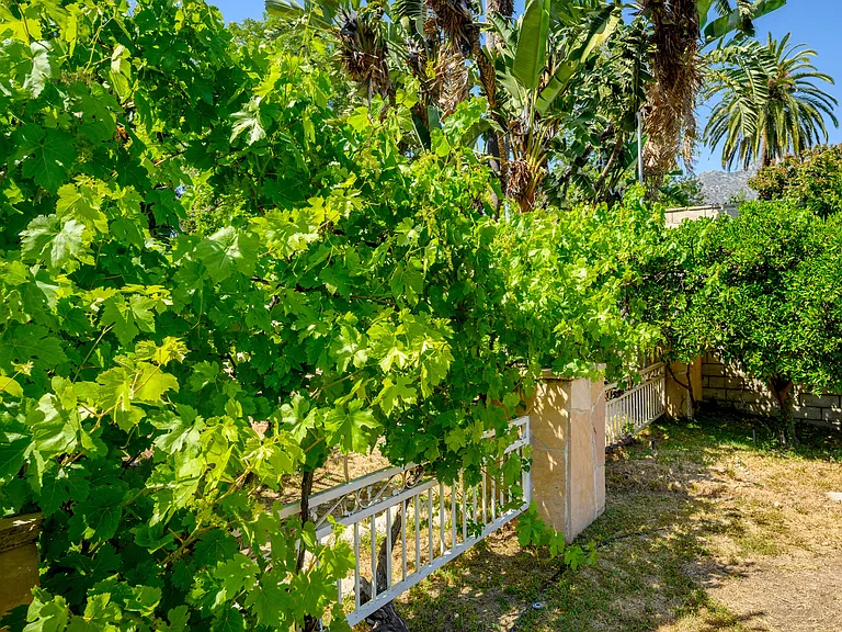 1635 Grandview Ave — Photo 43