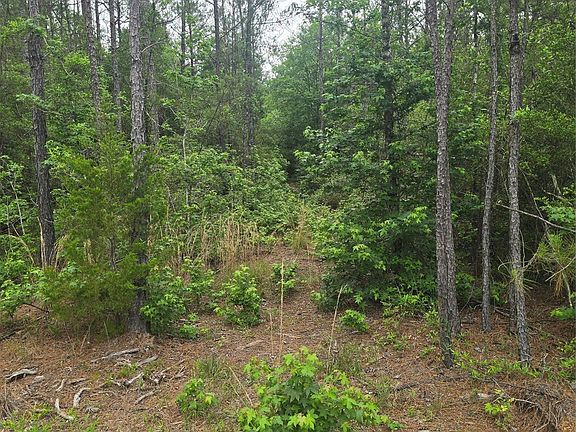 5th image of 15386 Red Hawk Rd Lot 21
