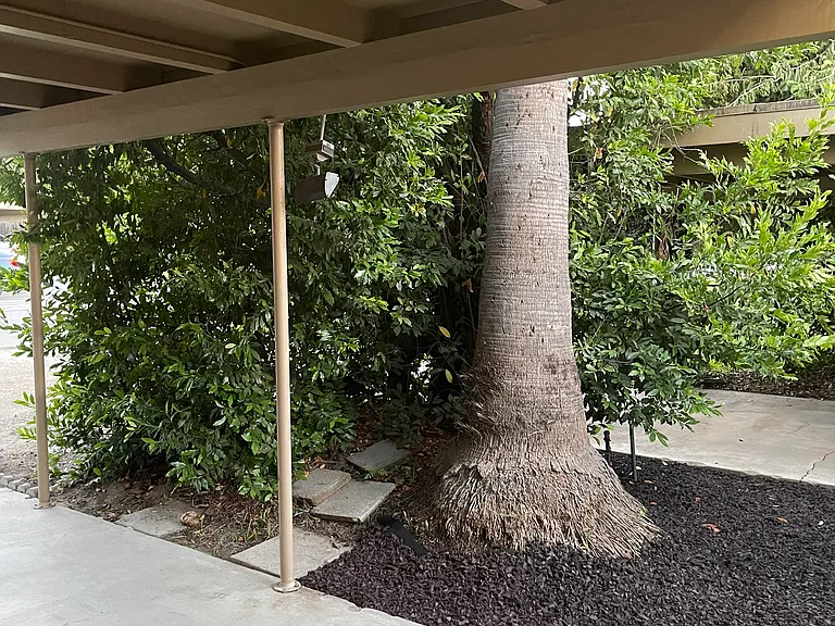 1316 Sylvan Blvd #19 — Photo 4