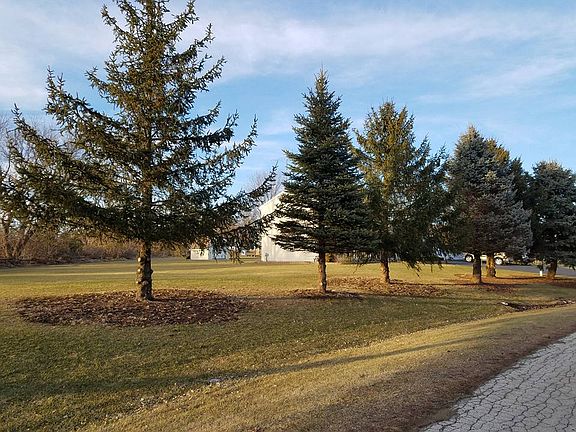 Tree line along Property