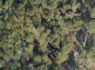 Fisher Lane Pl LOT 7, Ocklawaha, FL 32179
