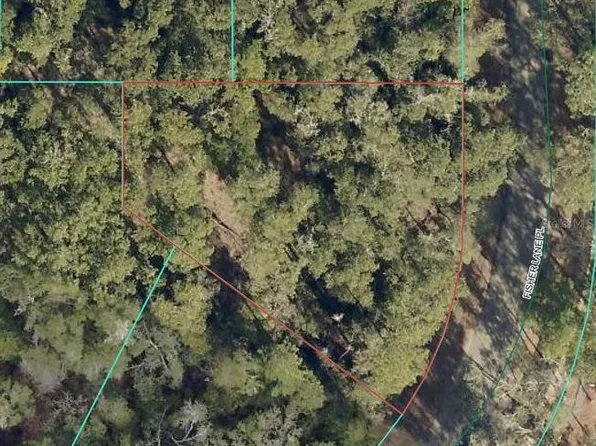 Fisher Lane Pl Lot 7, Ocklawaha, FL 32179