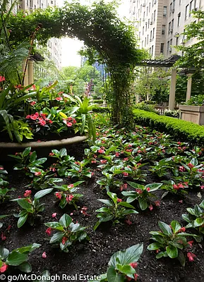 Rented by McDonagh Real Estate | media 34