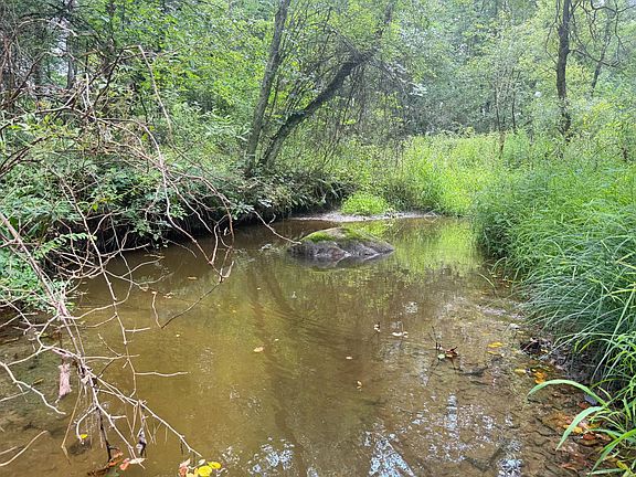 5th image of 6961 Turkey Track Rd