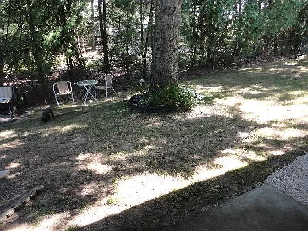 321 Laporte Ct — Photo 11