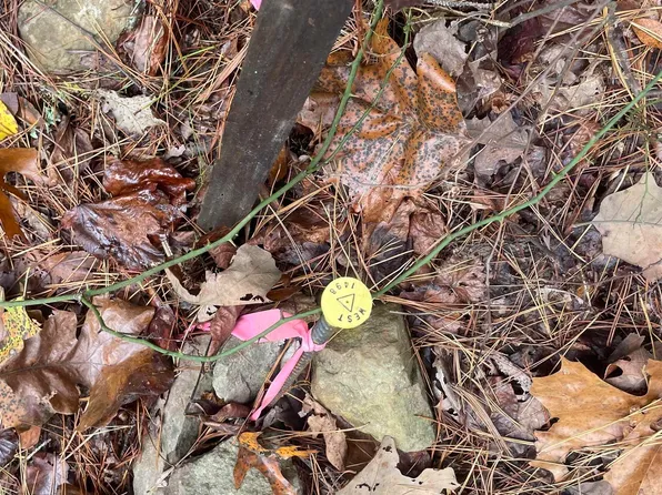 (undisclosed Address), Clinton, AR 72031