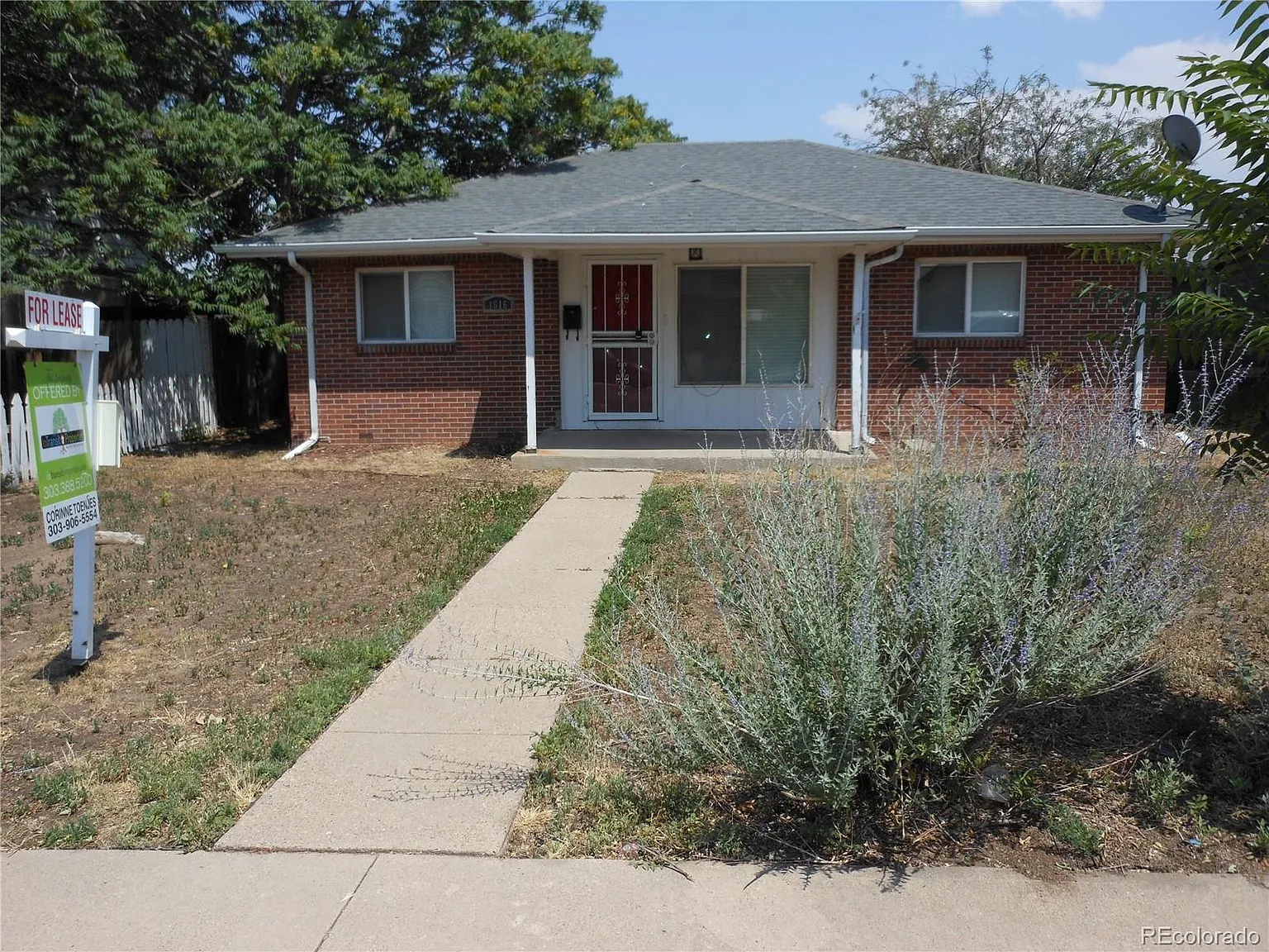 3 bed, 1.0 bath, 990 sqft, $2,000 — Photo 2