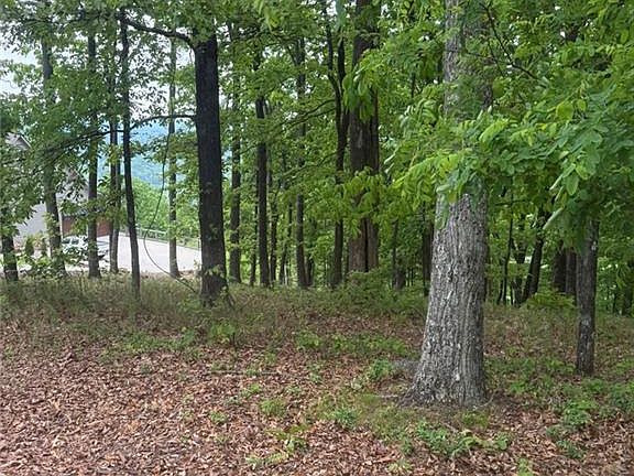 4th image of 38 Mountainside Ct