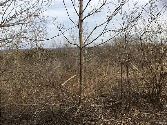 4th image of 91 Lake Trails Dr