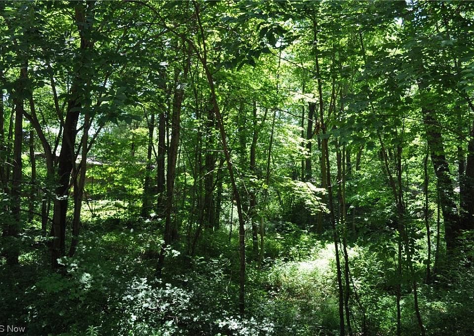1st image of Ledgewood Blvd NE