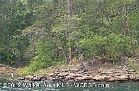 1st image of LOT 32 Lot Bear Pen Subdivision #32