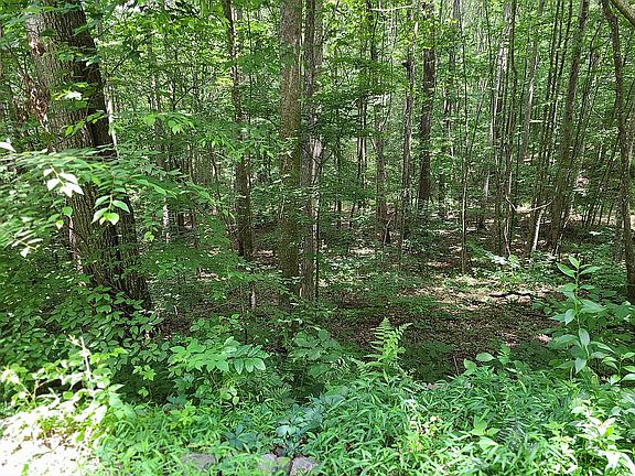 3rd image of 2341 Little Cove Dr
