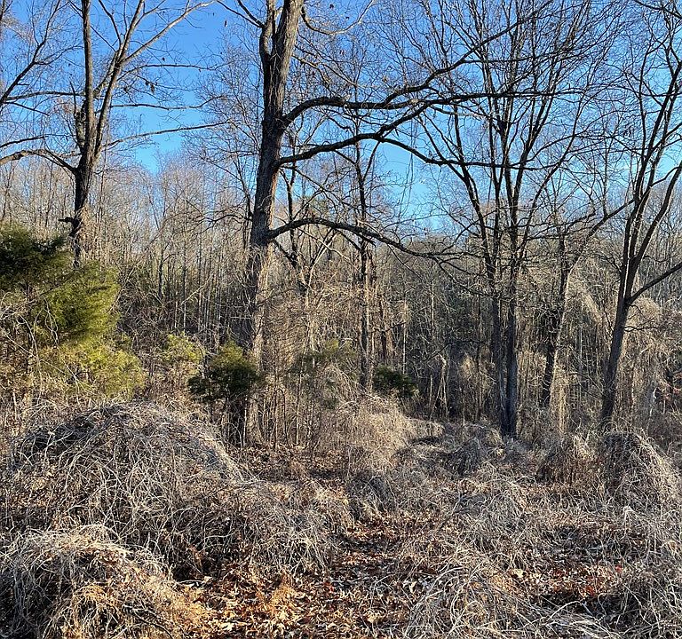 0 Parkhill Rd, Puryear, TN 38251 Zillow