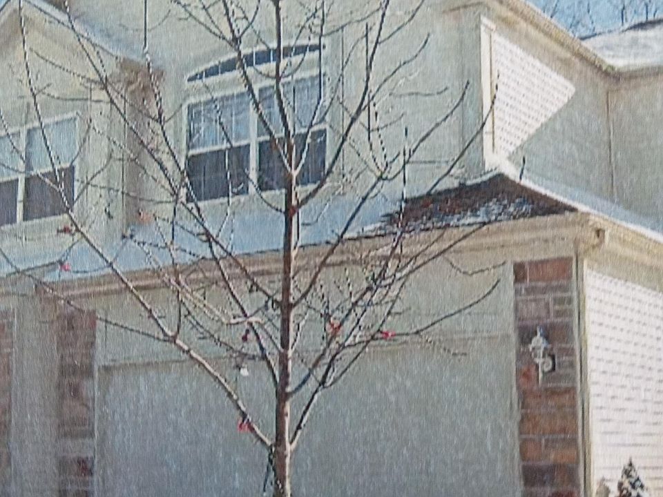 1st image of 8047 Sierra Woods Ln