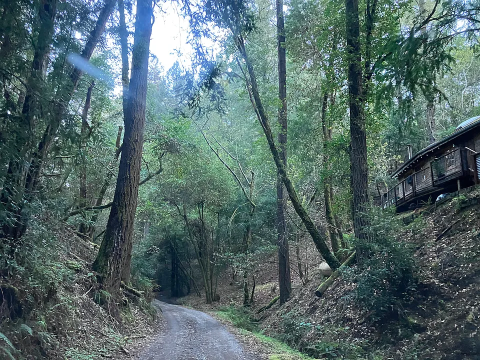 11355 Highway 116