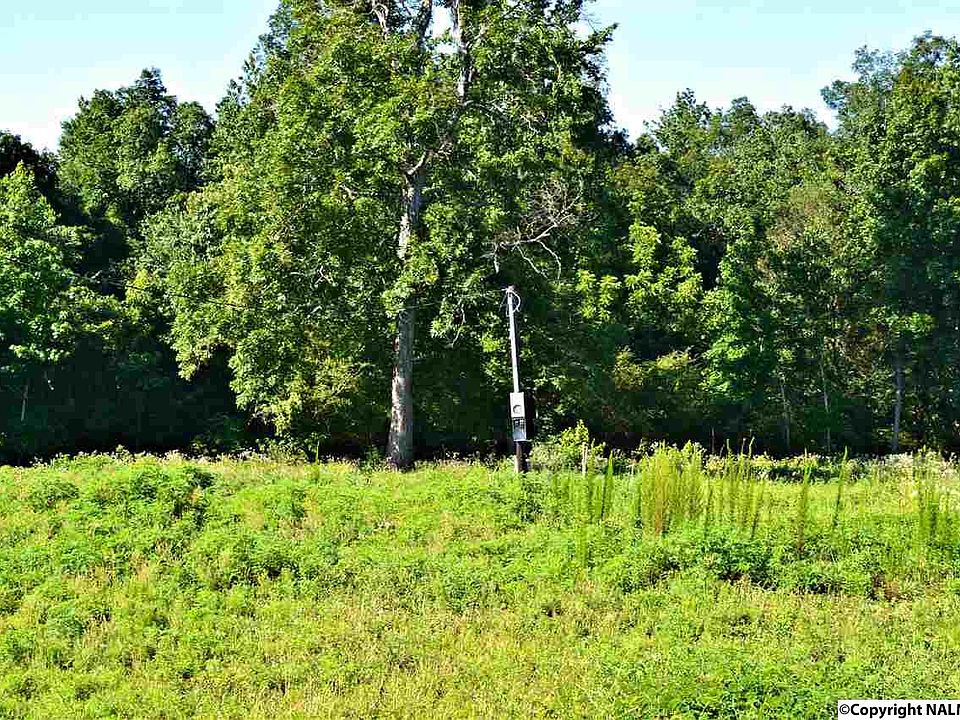2nd image of Elk River Mills Rd