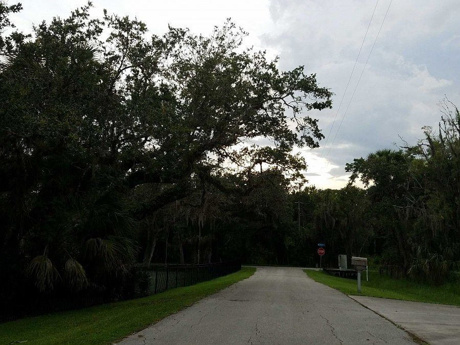 2nd image of 14971 Terrell Dr