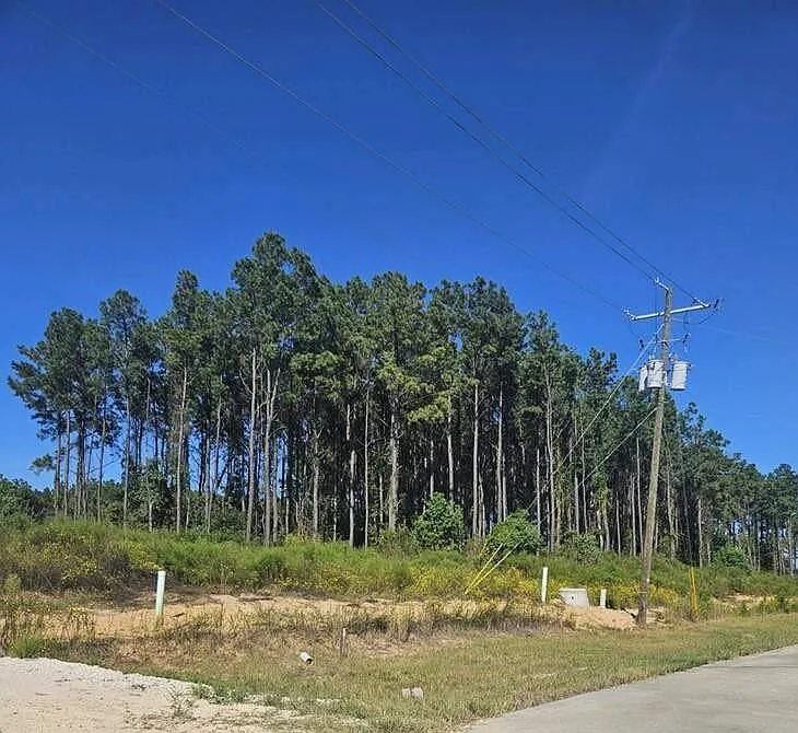 2055 Road 5913