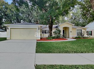 234 Bryan Oak Ave, Brandon, FL 33511