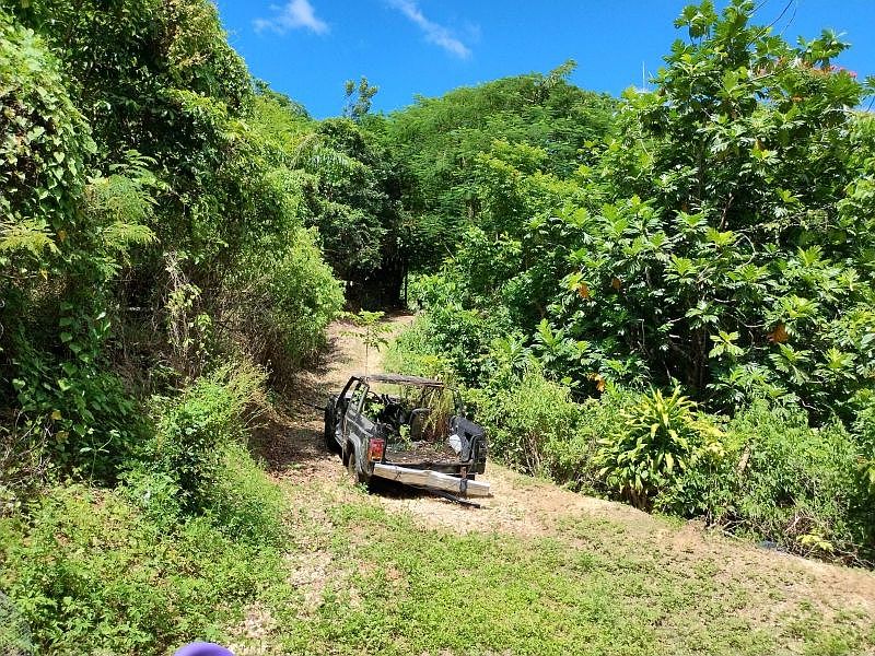 2nd image of Bo Planas Pr #476