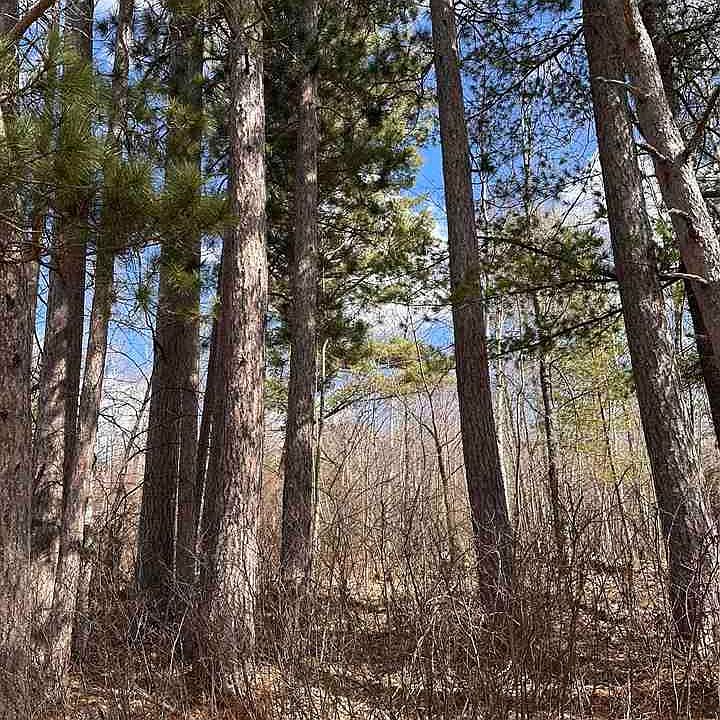 Voyageurs Trl, Biwabik, MN 55708 Zillow