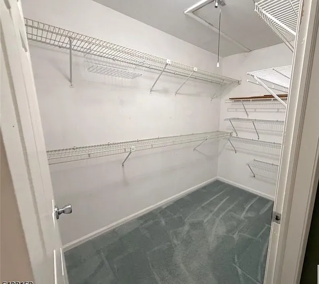 2509 Candlelight Ct — Photo 13